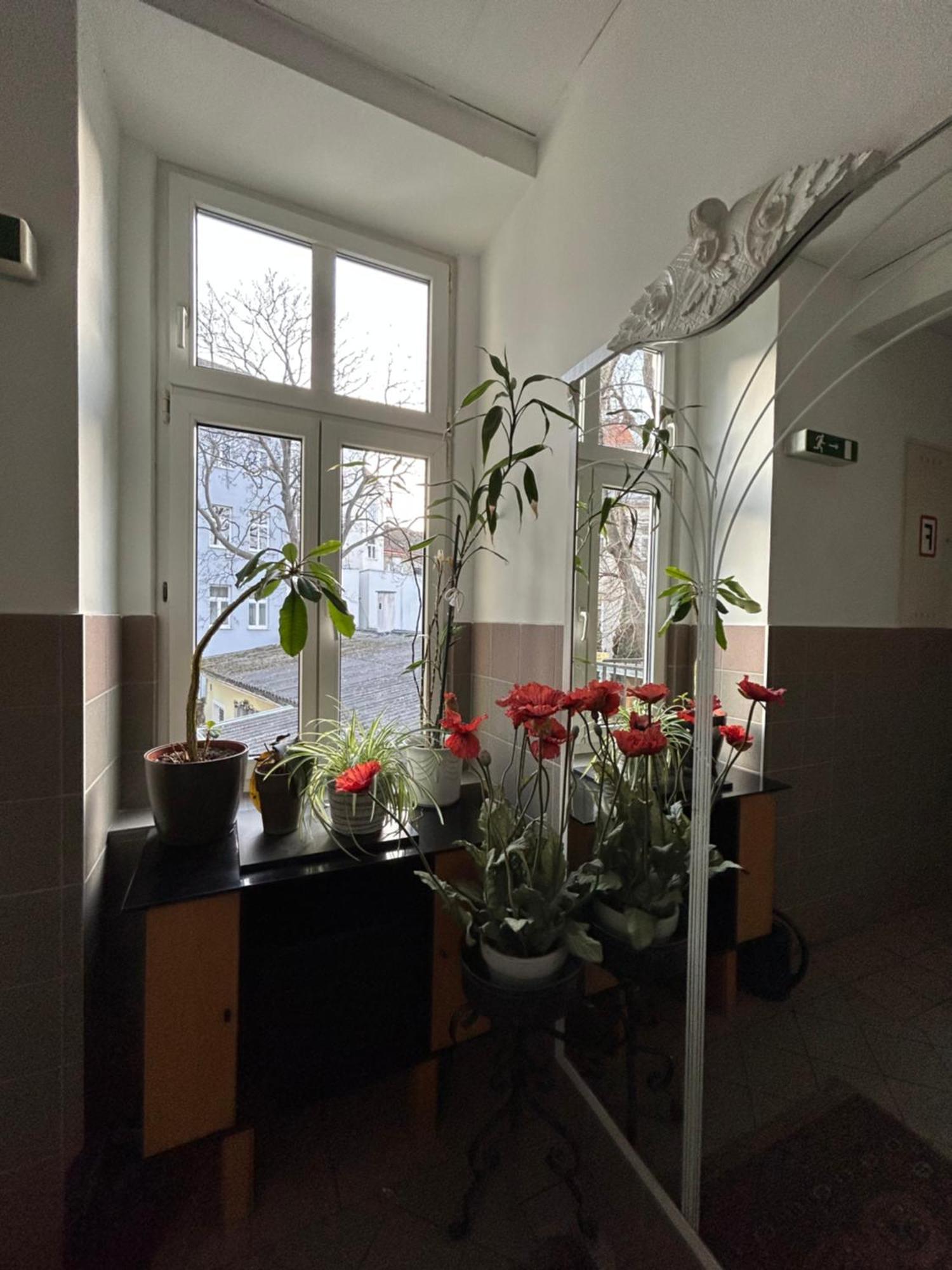 Reiner Apartment Vídeň Exteriér fotografie